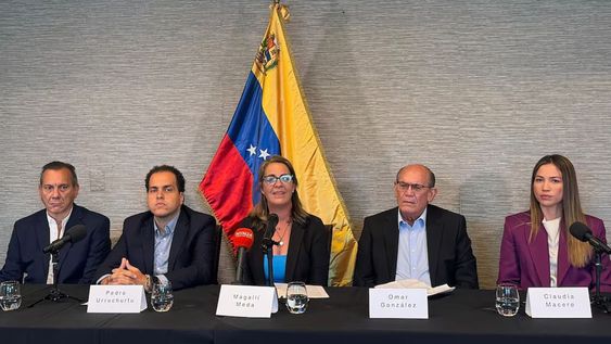 El dramático relato de los cinco opositores venezolanos que escaparon de la embajada argentina en Caracas.
