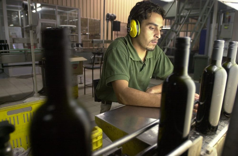 Este enfoque integral no solo mejora la calidad de vida de quienes trabajan en la industria, sino que también fortalece la relación de las bodegas con las comunidades en las que operan.