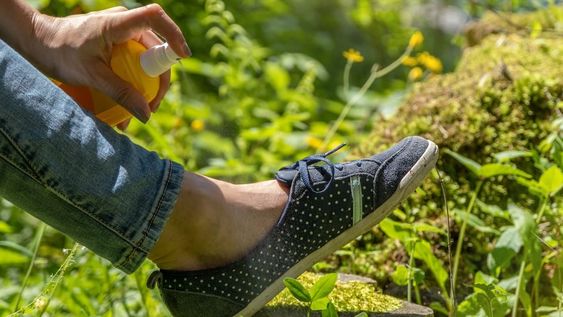 Brote de dengue: por qué es distinta esta temporada según el Ministerio de Salud de la Nación. La cantidad de casos que se han presentado ha superado ampliamente a la estampadas anteriores y la enfermedad se ha extendido a todo el territorio nacional.