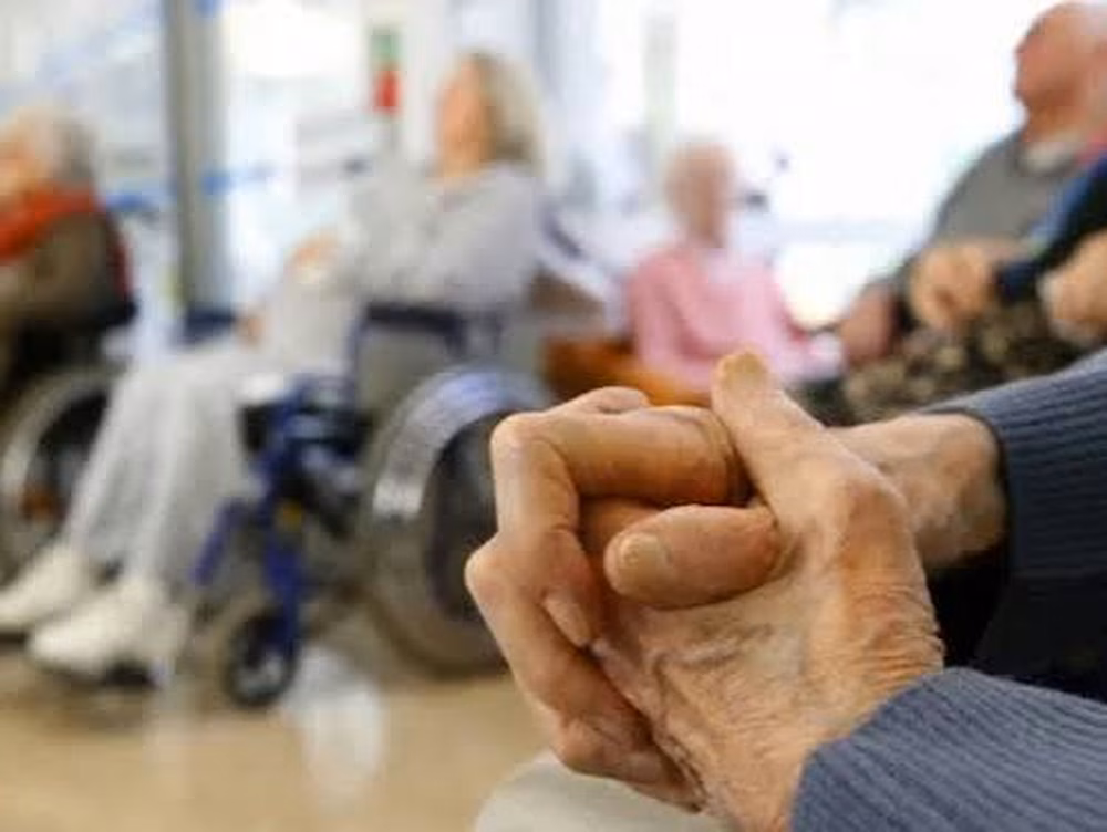 Informalidad: existe un alto porcentaje de hogares no registrados que operan fuera de los controles oficiales, dificultando su fiscalización.