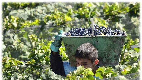 De crisis en crisis .. - Por Gabriela Lizana