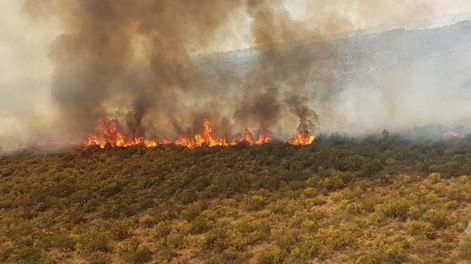 Incendios forestales. Foto: Secretaría de Ambiente de Mendoza.