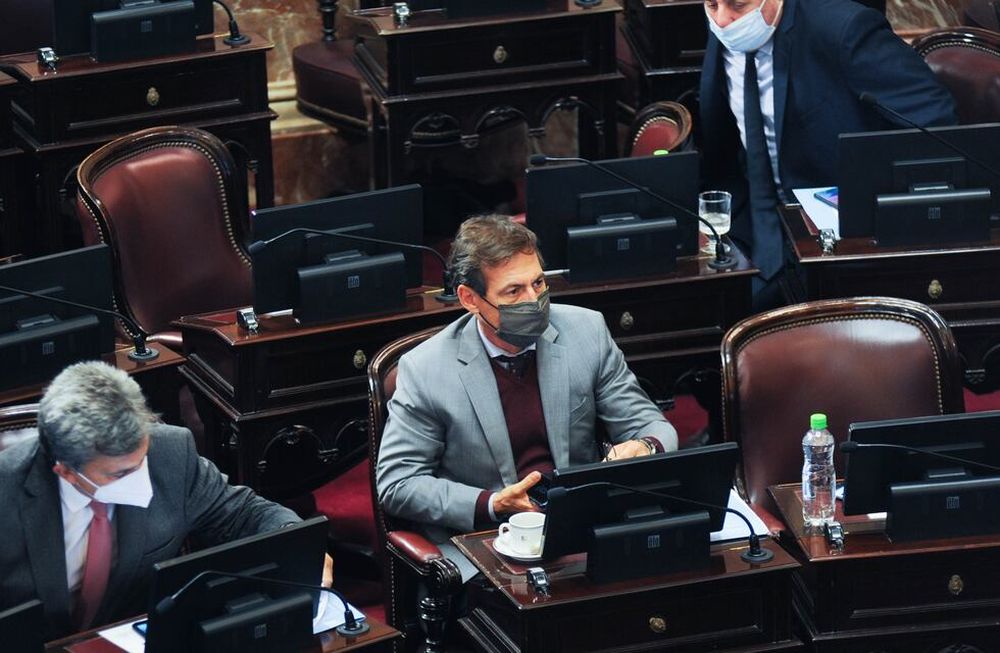 Luis Naidenoff encabezó la nota de la oposición para reclamar la vuelta a la presencialidad. Foto: Federico López Claro - Corresponsalía