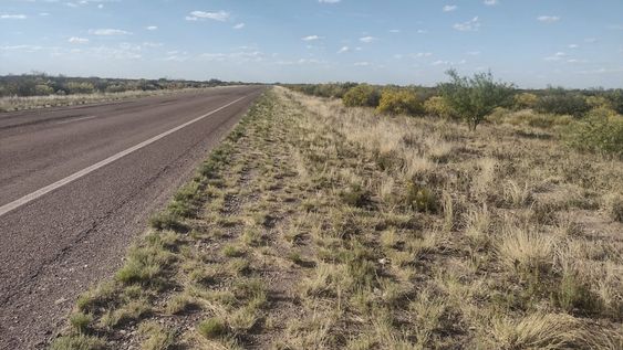 Vialidad Mendoza limpió 300 kilómetros de banquinas en la Ruta Provincial 153