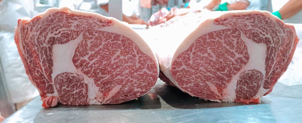  La familia Carbonero oriunda de Rivadavia es pionera en Cuyo en la crianza de Wagyu, una de las carnes más costosas.