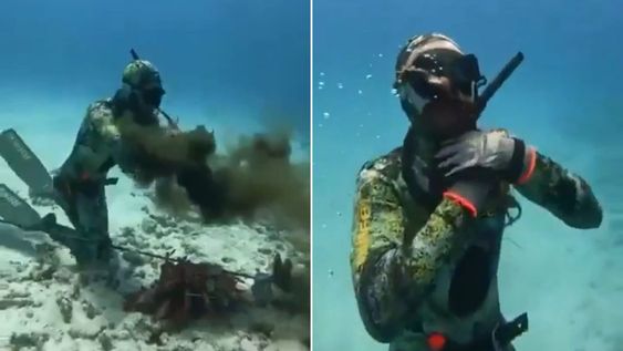 Así atacaba el pulpo al buzo en Rusia.