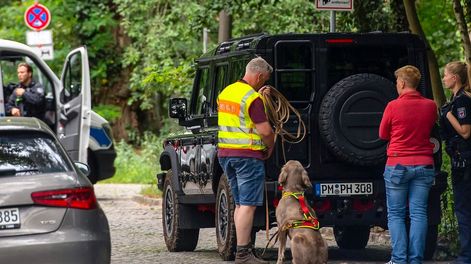 Un animal salvaje, que podría ser una leona, estaba suelto en las afueras del sur de Berlín. EFE