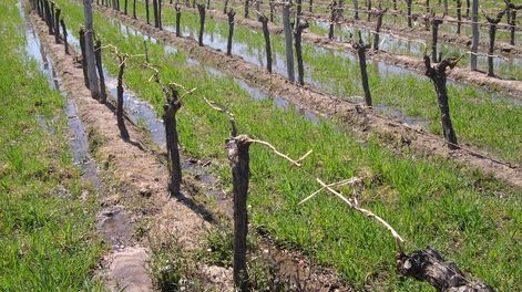 El INTA realiza jornadas sobre cómo mejorar la eficiencia del riego superficial