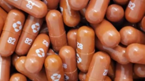El antiviral molnupiravir ha presentado excelentes resultados en la fase 2 de su estudio.