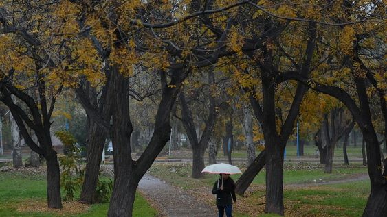 Con alertas por lluvias y vientos intensos, anuncian un martes inestable en Mendoza