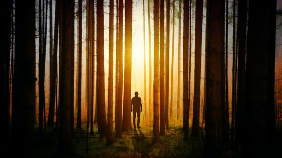 Los astros tienen un dato alarmante para Cáncer