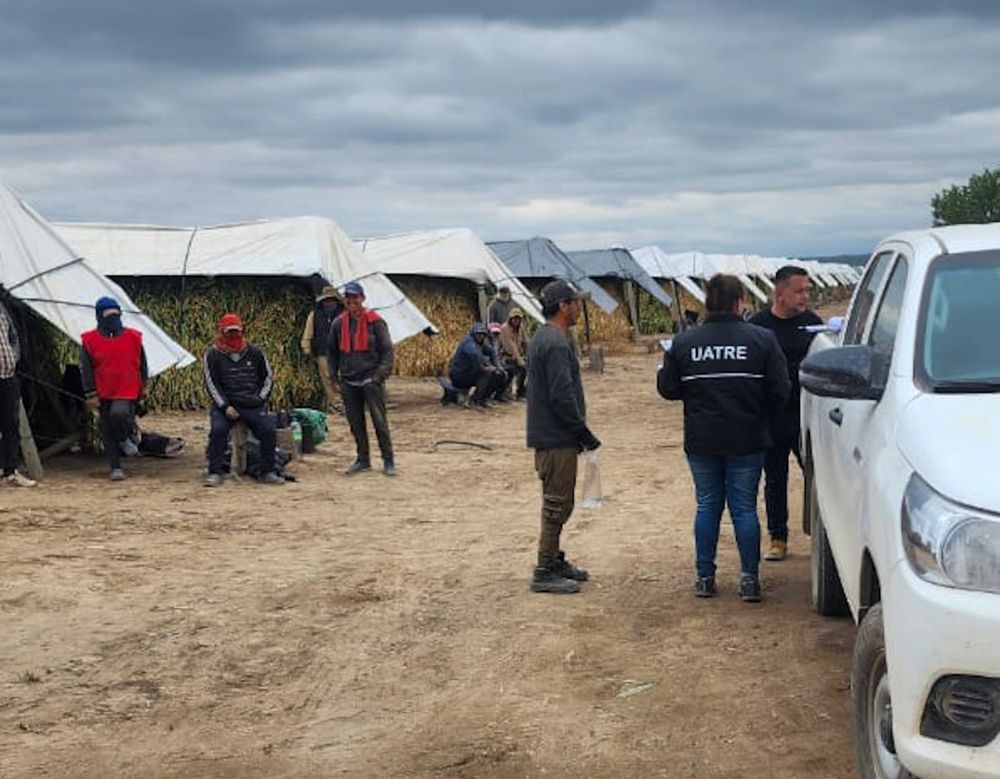 UATRE registro 32 trabajadores golondrina y labro acta por las irregularidades laborales.