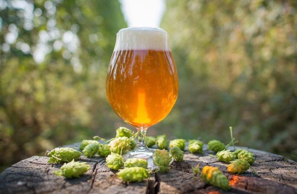 Para celebrar el Día de la Independencia, el próximo 9 de julio en más de 90 bares, restaurantes y tiendas de todo el país, se venderá la IPA Argenta, bebida que nació de la colaboración de 250 productores artesanales.