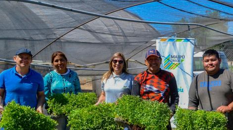 Maipú acompaña a más de 200 productores con el programa Autoproducción de semillas