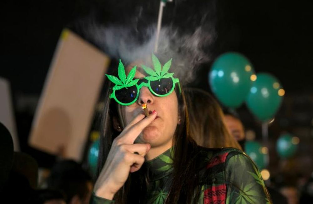 Canadá busca catadores de porro  y paga 50 dólares la hora
