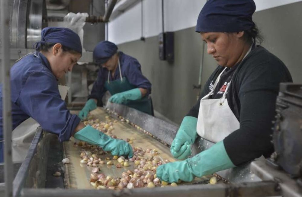 La Cooperativa La Terre cuenta con casi 100 trabajadores y fueron los protagonistas de una campaña solidaria que permitió entregar 50.000 raciones de alimentos a comedores y merenderos. Foto: Orlando Pelichotti.