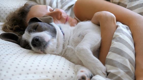 ¿Es bueno dormir con tu perro en la cama durante el invierno? Riesgos y recomendaciones de los expertos
