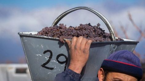 Hay empresas que a pesar de la pandemia, la recesión económica, la inflación y la inestabilidad general, siguen apostando por la agroindustria local