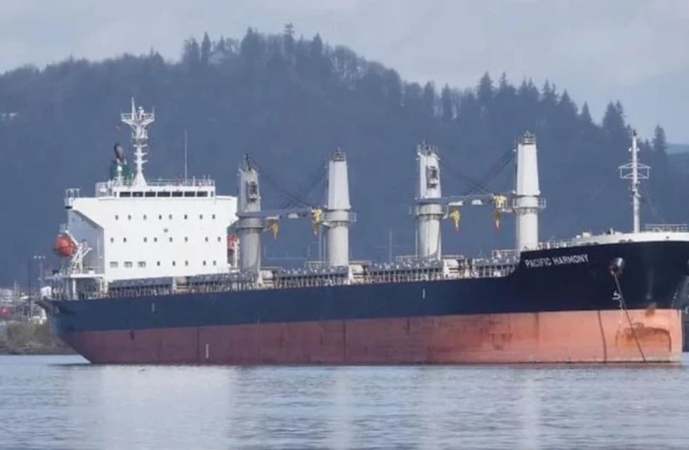 Se trata del barco cerealero INA-LOTTE, que tiene bandera de Liberia - Gentileza 0223