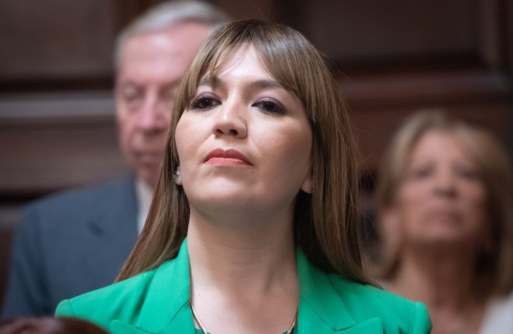 La diputada provincial Janina Ortiz, cada vez más complicadaFoto: Ignacio Blanco / Los Andes