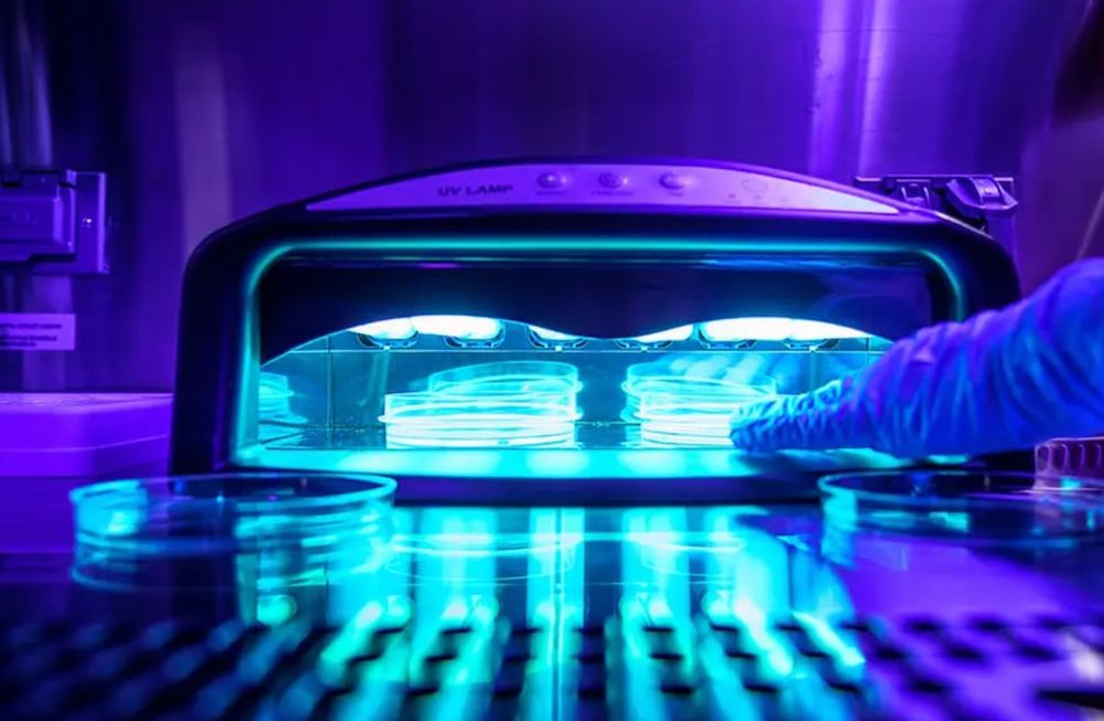 Las camas de bronceado están catalogadas como cancerígenas. Las lámparas UV para uñas son como mini camas de bronceado cuyo fin es el de endurecer las uñas de gel. Foto: David Baillot / Escuela de Ingeniería Jacobs de UC San Diego.