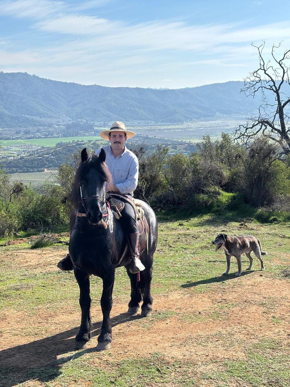 En 2025, el mendocino Elio Méndez se fue a trabajar a Chile. Allí se dedica a domar y amansar caballos.