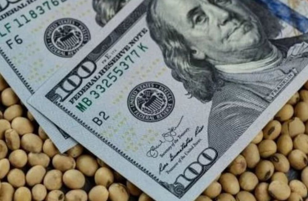 Más cepo: los que recibieron dólar soja no podrán comprar la divisa oficial.