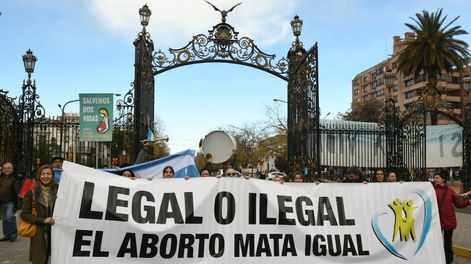 Carta abierta a los legisladores de la Nación - Por Carla Valentina Aloisio Di Giuseppe