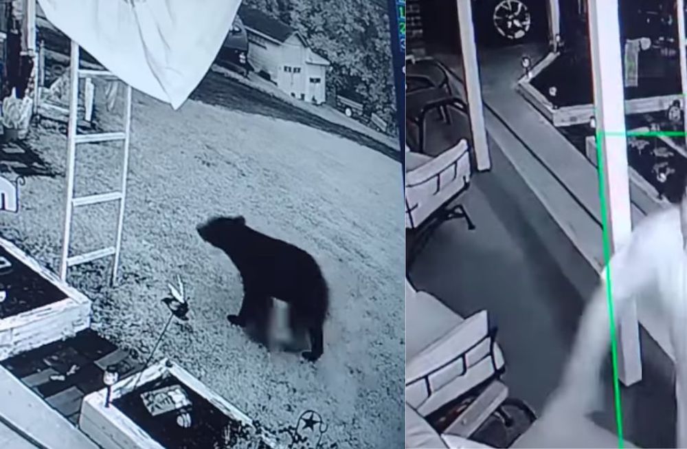 John Swartz recibió una vacuna contra el tétanos y tratamiento por la mordedura. En adición, los galenos le informaron que solo se trató de una herida superficial. Foto: Captura Facebook / Lori N John Swartz