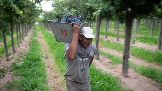 Las charlas están basadas en la Economía del Conocimiento con el objetivo de incrementar las capacidades, habilidades y el perfeccionamiento profesional de trabajadores de la cadena productiva vitivinícola. / Foto: Ignacio Blanco