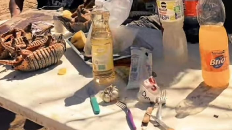 Inesperada polémica por el video de un candidato con 4 animales protegidos muertos