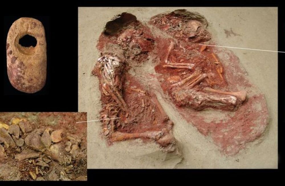 El hallazgo es un patrimonio mundial de importancia excepcional para responder preguntas sobre el desarrollo y la evolución sobre nuestra especie.