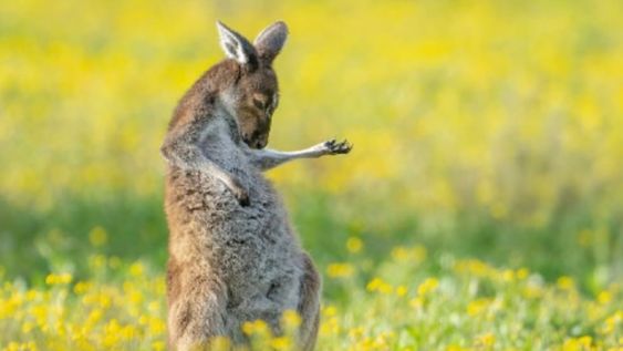 El fotógrafo de la imagen ganadora reveló que tomó la fotografía en un paisaje que suele frecuentar día a día, cuando se dirige y regesa de su trabajo. Foto: Jason Moore