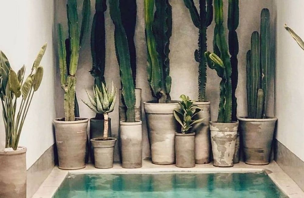 Espacios refrescantes: terrazas, jardines y más…