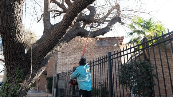Trabajos de mantenimiento tras la tormenta de este martes