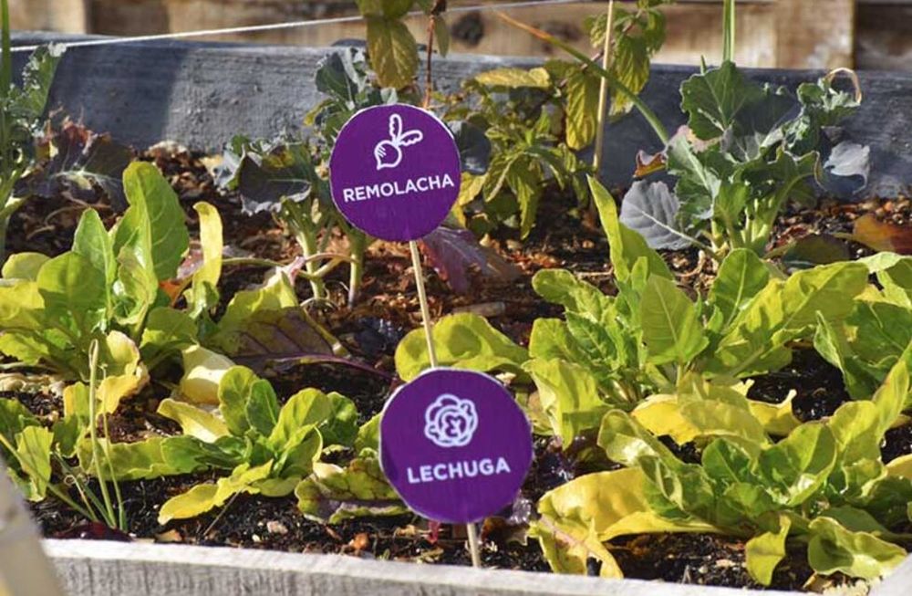 Inscripciones online para la entrega de semillas de la temporada otoño-invierno 2024