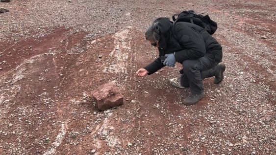 El lugar de la montaña mendocina, cerca de Las Cuevas, donde se encontraron los materiales de origen incaico. En la foto se ve al arqueólogo Horacio Chivazza revisando el sector del hallazgo.Fotos: Expedición De Rosas-Chiavazza.