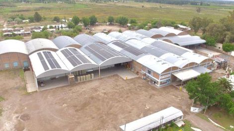 Los Andes | El frigorífico Friofrut, en General Alvear, es propiedad de una cooperativa y presta el servicio de frío, principalmente, a los asociados. Foto: Gentileza