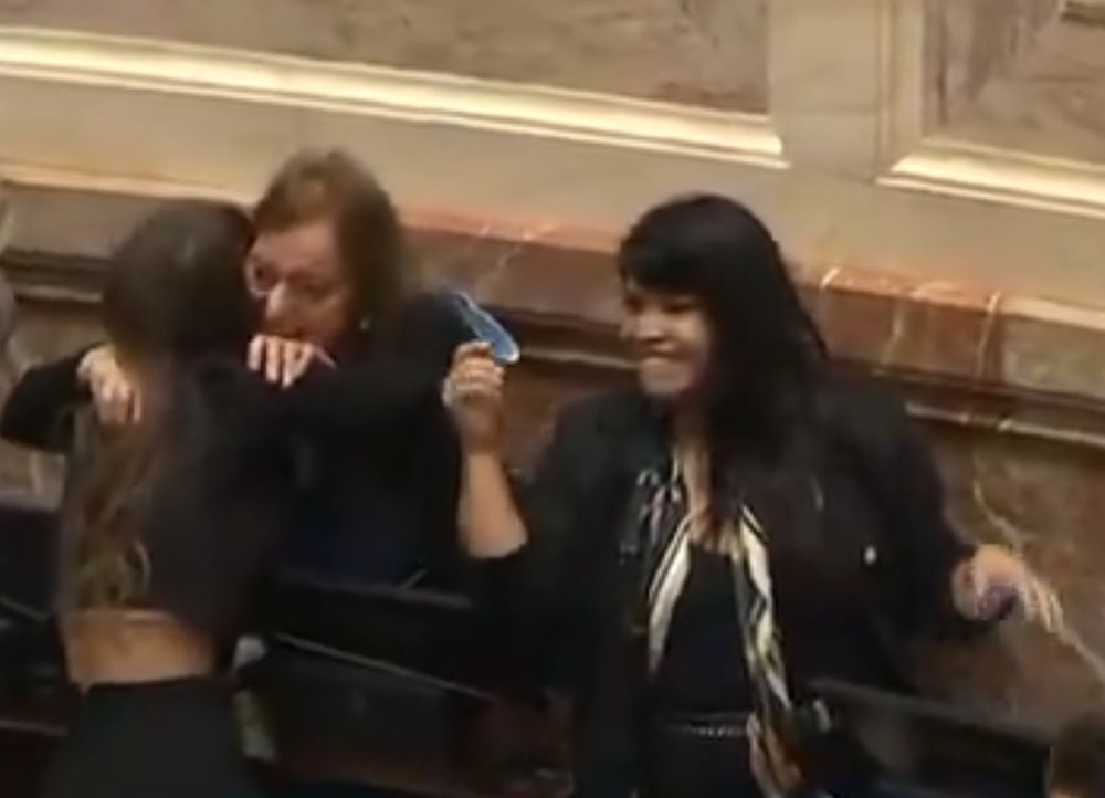 Ficha Limpia, en redes: el video del festejo kirchnerista, insultos a senadores misioneros y dardos al PRO