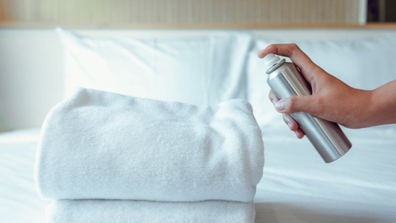 decile chau a cualquier insecto: cuales son los metodos de limpieza mas efectivos para el hogar