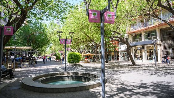 Sumate a “Octubre Rosa en Mendoza” y participá con tu local por importantes premios