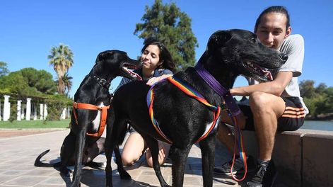 Los Andes | Si los dueños de los perros coinciden y se dan recíprocamente un “me gusta” en los perfiles, luego podrán comunicarse para coordinar “una cita” para sus mascotas. Foto: José Gutiérrez / Los Andes
