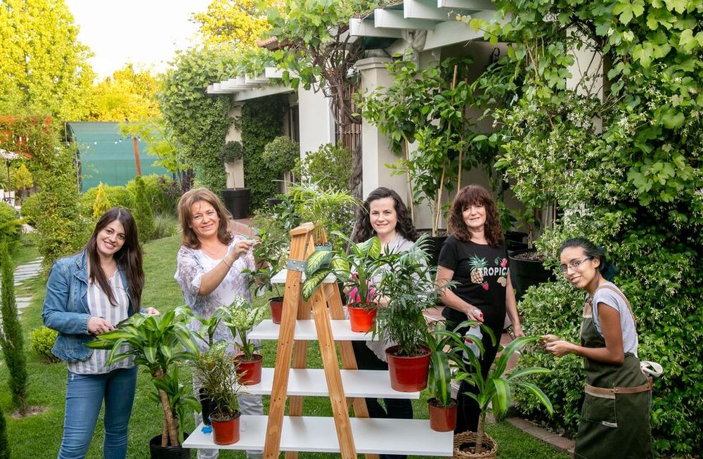 Celebrando las alegrías de la vida con una mirada Zen