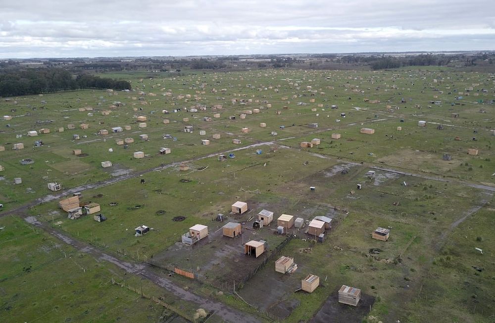 Toma de tierras, una pelea de larga data.