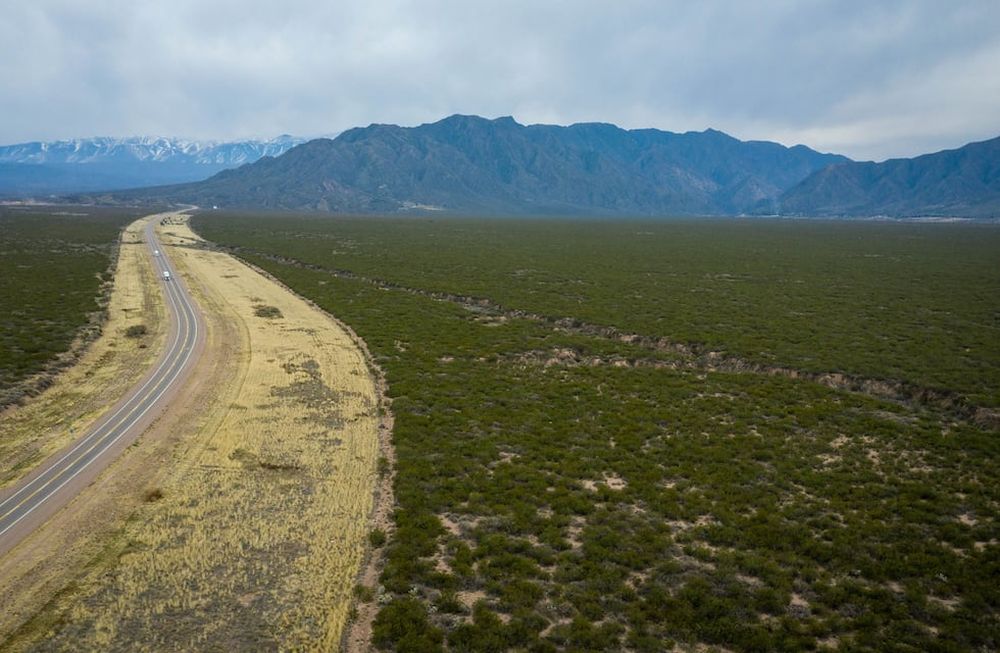 El área de Luján de Cuyo que alberga un jarillal de 240 hectareas y que se pretende declarar como área natural protegida. Foto: Ignacio Blanco / Los Andes