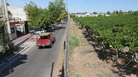 Los Andes | Sobre calle Kennedy, entre  Dorrego y Cobo, se encuentran los últimos viñedos de una zona hoy convertida en un área comercial y residencial por excelencia. Foto: José Gutiérrez / Los Andes
