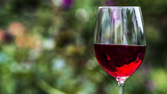 Sintiendo el vino: la degustación, clave para valorar su calidad y conocer mejor su identidad