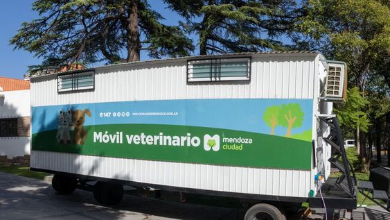 Ya se pueden sacar turnos por el 147 para castraciones y esterilizaciones gratuitas