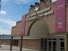 Un joven de 21 años sufrió graves heridas este jueves por la mañana mientras realizaba tareas de poda en el distrito de Tres Porteñas, San Martín.