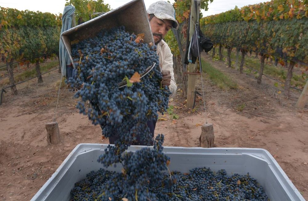 Vitivinicultura. Las reuniones se celebrarán en La Enoteca este lunes y el próximo 1 de marzo. Foto: Orlando Pelichotti / Los Andes.